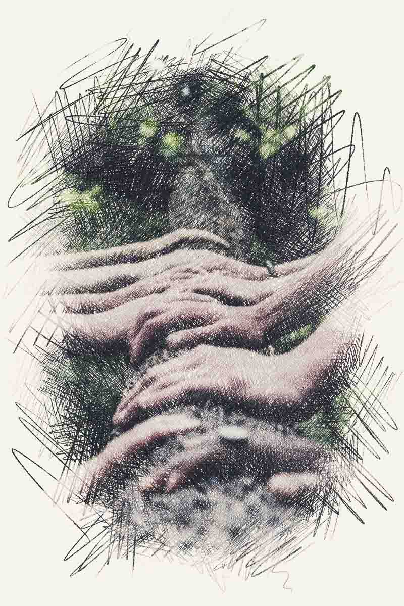 équipe Botanikoo sketch